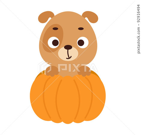 Cute little dog sitting in a pumpkin. Cartoon animal character for kids t-shirts, nursery decoration, baby shower, greeting card, invitation. Vector stock illustration Cute little dog sitting in a pumpkin. Cartoon animal character for kids t-shirts, nursery decoration, baby shower, greeting card, invitation. Vector stock illustration 92916494