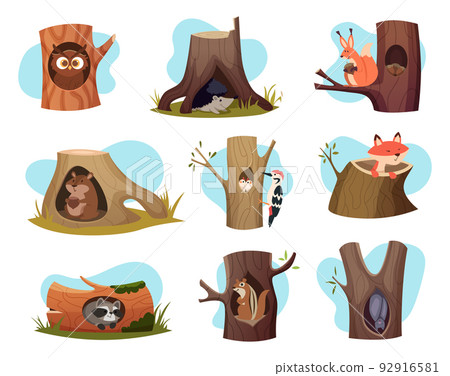 Hollow trees. Cozy houses for wild forest animals exact vector characters 92916581