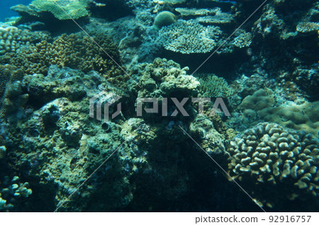 Okinawa's Blue Sea Okinawa's Blue Sea 92916757
