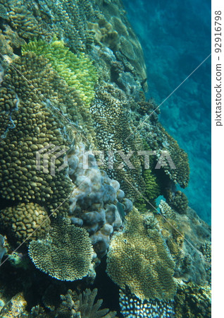 Okinawa's Blue Sea Okinawa's Blue Sea 92916798