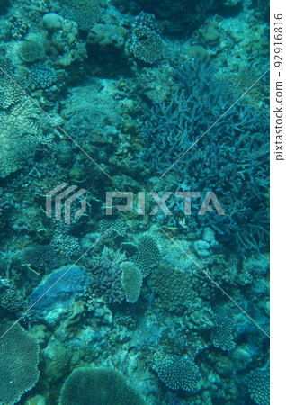 Okinawa's Blue Sea Okinawa's Blue Sea 92916816