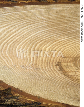 Texture of natural ash wood with a piece of bark 92917633