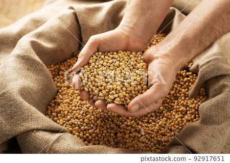 Caucasian male showing soybeans in his hands over burlap sack 92917651