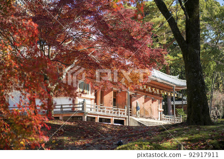 Zen temple of autumn leaves 92917911