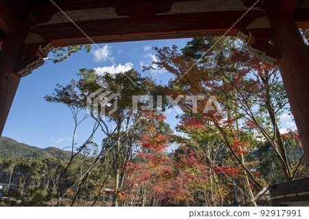 秋葉禪宗寺廟 秋葉禪宗寺廟 92917991