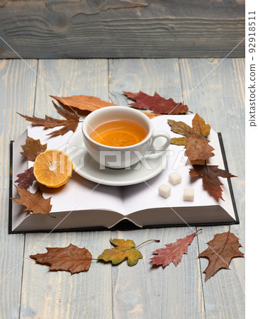 Tea cup on blank book pages and leaves. Hot beverage 92918511