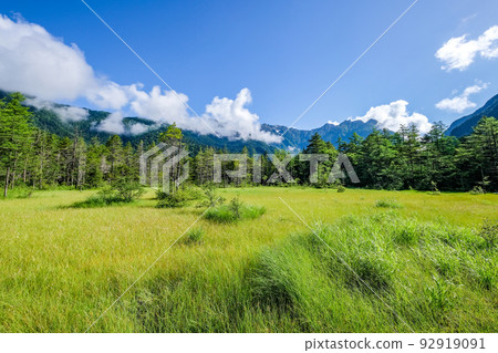 長野縣松本市上高地的田代沼澤和穗高山脈 長野縣松本市上高地的田代沼澤和穗高山脈 92919091