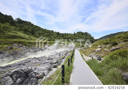 Tamagawa Onsen 92919256