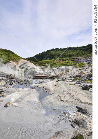 Tamagawa Onsen 92919264