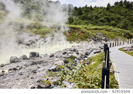 Tamagawa Onsen 92919309