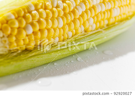 Yellow sweet Corn Cob with leaves Closeup wet 92920027
