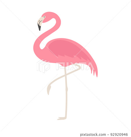 Vector flat flamingo Vector flat flamingo 92920946