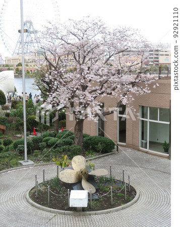 Sakura Minato Mirai 92921110