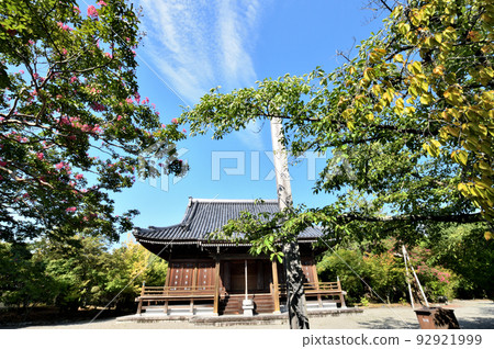 法堂寺（近藤）[大阪府堺市南區八神峰寺] 92921999