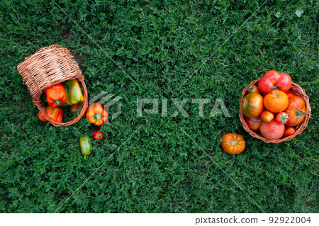 Fresh healthy tomatoes and bell peppers lie in baskets on the green grass 92922004