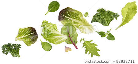 Falling salad leaves isolated on white background Falling salad leaves isolated on white background 92922711