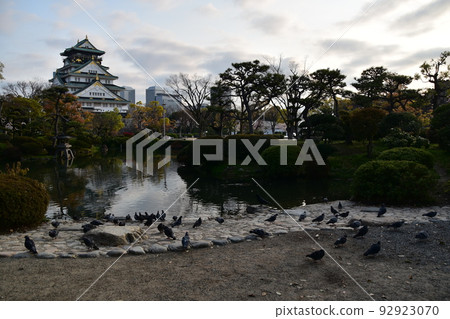 Osaka Prefecture, Japan, Osaka Castle in spring, cherry blossoms in full bloom and a splendid castle tower, a flock of pigeons resting around a pond 92923070