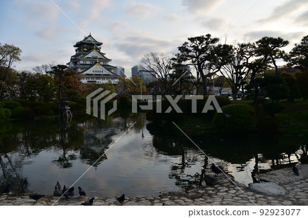 日本大阪府,春天的大阪城,盛開的櫻花和壯麗的城堡塔,一群鴿子在池塘邊休息 日本大阪府,春天的大阪城,盛開的櫻花和壯麗的城堡塔,一群鴿子在池塘邊休息 92923077