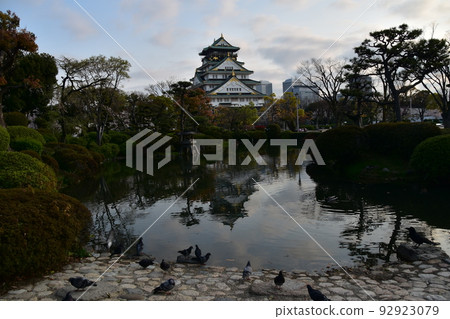 日本大阪府,春天的大阪城,盛開的櫻花和壯麗的城堡塔,一群鴿子在池塘邊休息 日本大阪府,春天的大阪城,盛開的櫻花和壯麗的城堡塔,一群鴿子在池塘邊休息 92923079