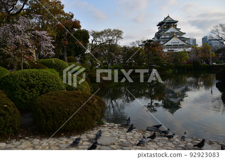 Osaka Prefecture, Japan, Osaka Castle in spring, cherry blossoms in full bloom and a splendid castle tower, a flock of pigeons resting around a pond 92923083
