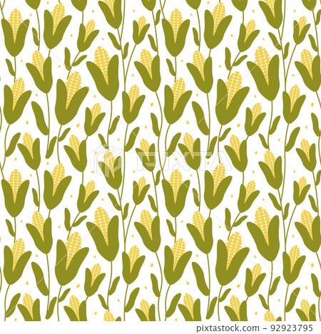 Corn crop seamless pattern on white background in cartoon style for textile print or packaging design 92923795