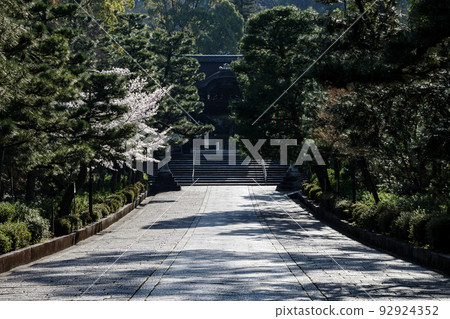 Otani Mausoleum approach with cherry blossoms in spring Otani Mausoleum approach with cherry blossoms in spring 92924352