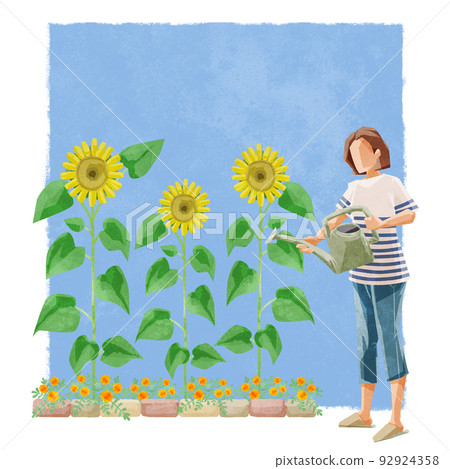 Hand drawn watercolor style illustration of a person watering sunflowers 92924358