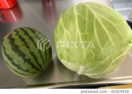 big cabbage and small watermelon 92924938