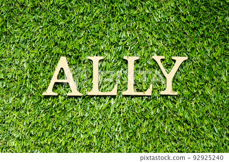 Wood alphabet letter in word ally on green grass background Wood alphabet letter in word ally on green grass background 92925240