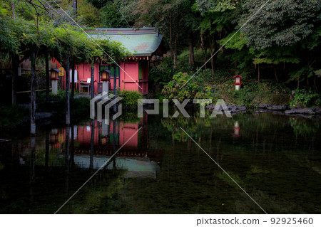 Sengen Taisha Lake Sengen Taisha Lake 92925460