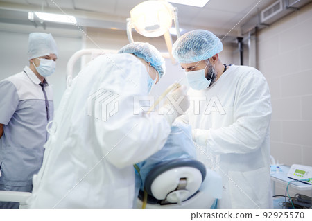 Surgeons and nurse during a dental operation. Anesthetized patient in the operating room. Installation of dental implants in the clinic. 92925570