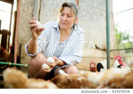 Cute woman farmer collecting fresh organic eggs on chicken farm. Floor cage free chickens is trend of modern poultry farming. Local business. 92925636