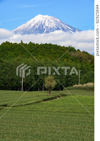 Blue sky and Mt.Fuji view Blue sky and Mt.Fuji view 92925694