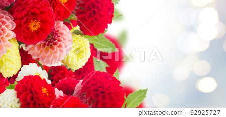 Dahlia flowers border 92925727