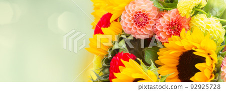 Dahlia and sunflowers 92925728