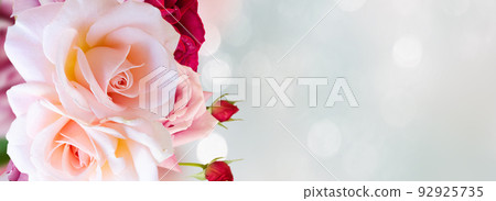 Pink blooming roses 92925735