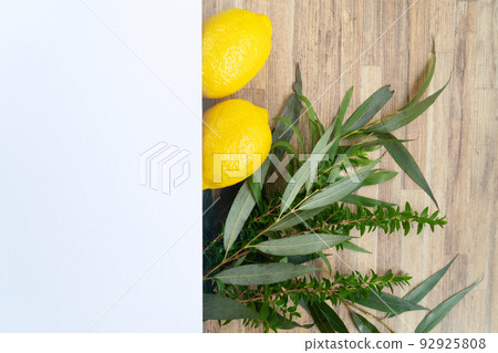 Happy Sukkot holiday Happy Sukkot holiday 92925808