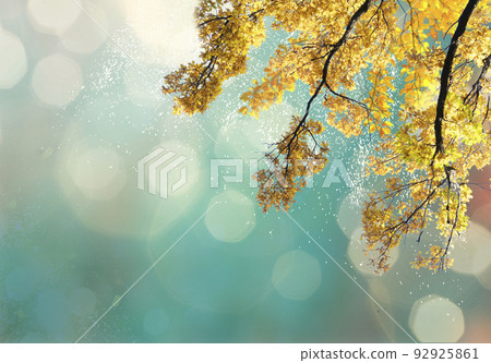 Vibrant fall foliage 92925861