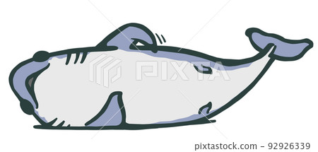 一隻老鼠鯊躺下並抓撓它的身體 92926339