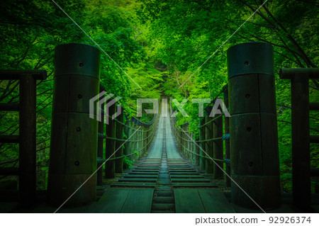 新鮮的綠色吊橋 新鮮的綠色吊橋 92926374