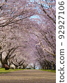 櫻花公園 92927106