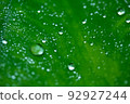 eco natural rain drops 92927244