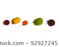 fresh tomatoes lined up 92927245