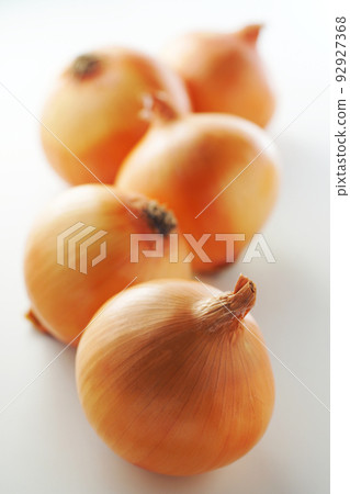 onion onion 92927368
