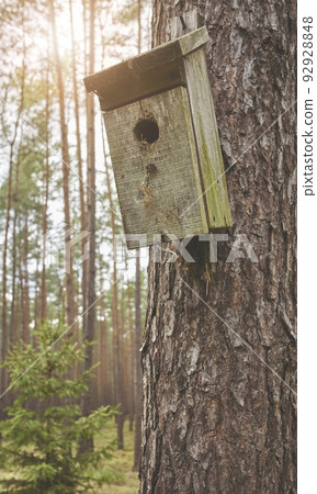 Close up picture of a birdhouse on a tree in forest, selective focus. 92928848