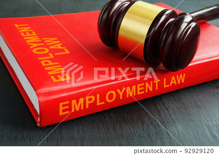 The book employment law and the gavel on it. The book employment law and the gavel on it. 92929120