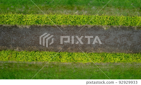 garden detail in aerial view with sand path going between two hedges 92929933