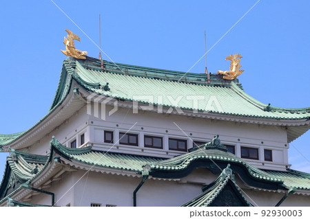 Golden shachi and castle tower (Nagoya Castle, Nagoya City, Aichi Prefecture) Golden shachi and castle tower (Nagoya Castle, Nagoya City, Aichi Prefecture) 92930003