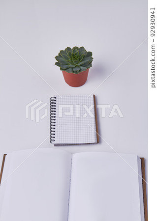 Vertical shot of blank notepads with houseplant. Top view white background. Vertical shot of blank notepads with houseplant. Top view white background. 92930941