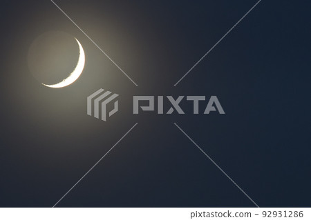 北斗市白州町8月薄紗月3.4歲（位置：左上） 92931286